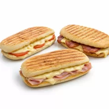PANINIS