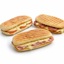 PANINIS